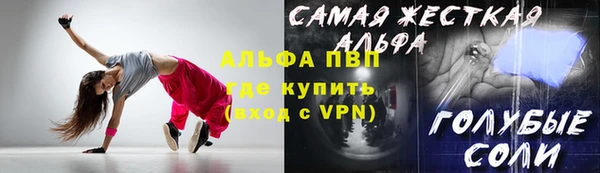 прущие грибы Каменка