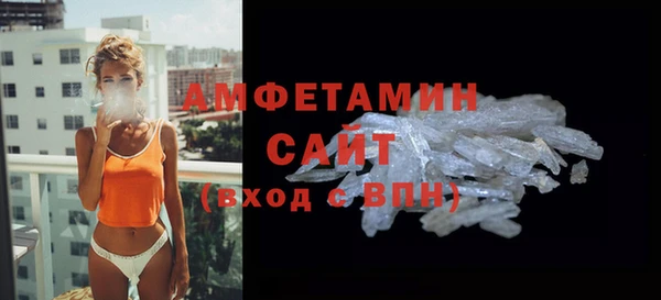 прущие грибы Каменка