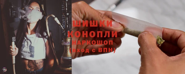 прущие грибы Каменка