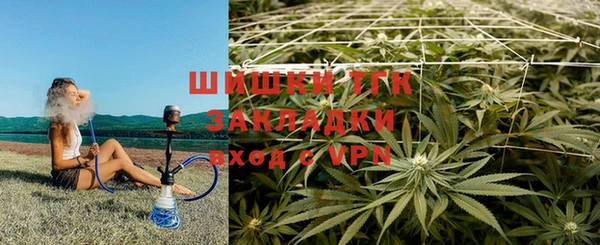 дживик Каменск-Шахтинский