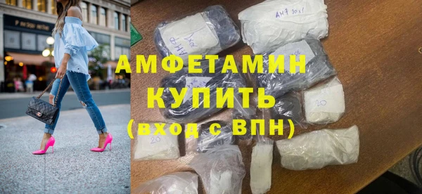 прущие грибы Каменка