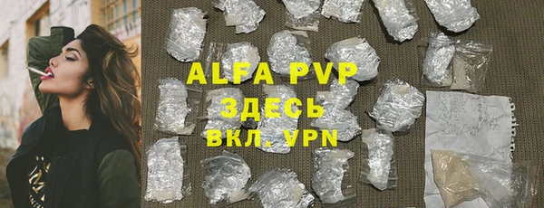 прущие грибы Каменка