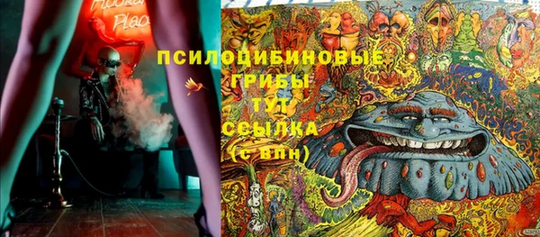 прущие грибы Каменка