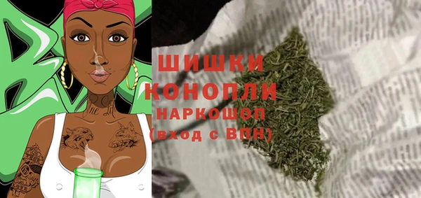 прущие грибы Каменка