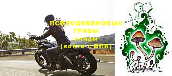 дживик Каменск-Шахтинский
