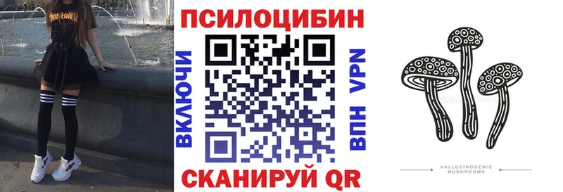 Купить где  Алупка  Галлюциногенные грибы Magic Shrooms 